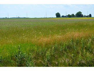 Property photo 142 - LAND AUCTION - 700+/- ACRES OFFERED IN 16 TRACTS IN ALLEN COUNTY, INDIANA